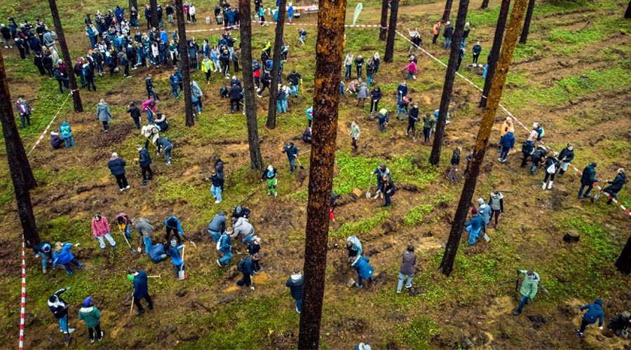 Das MCG pflanzt einen Wald